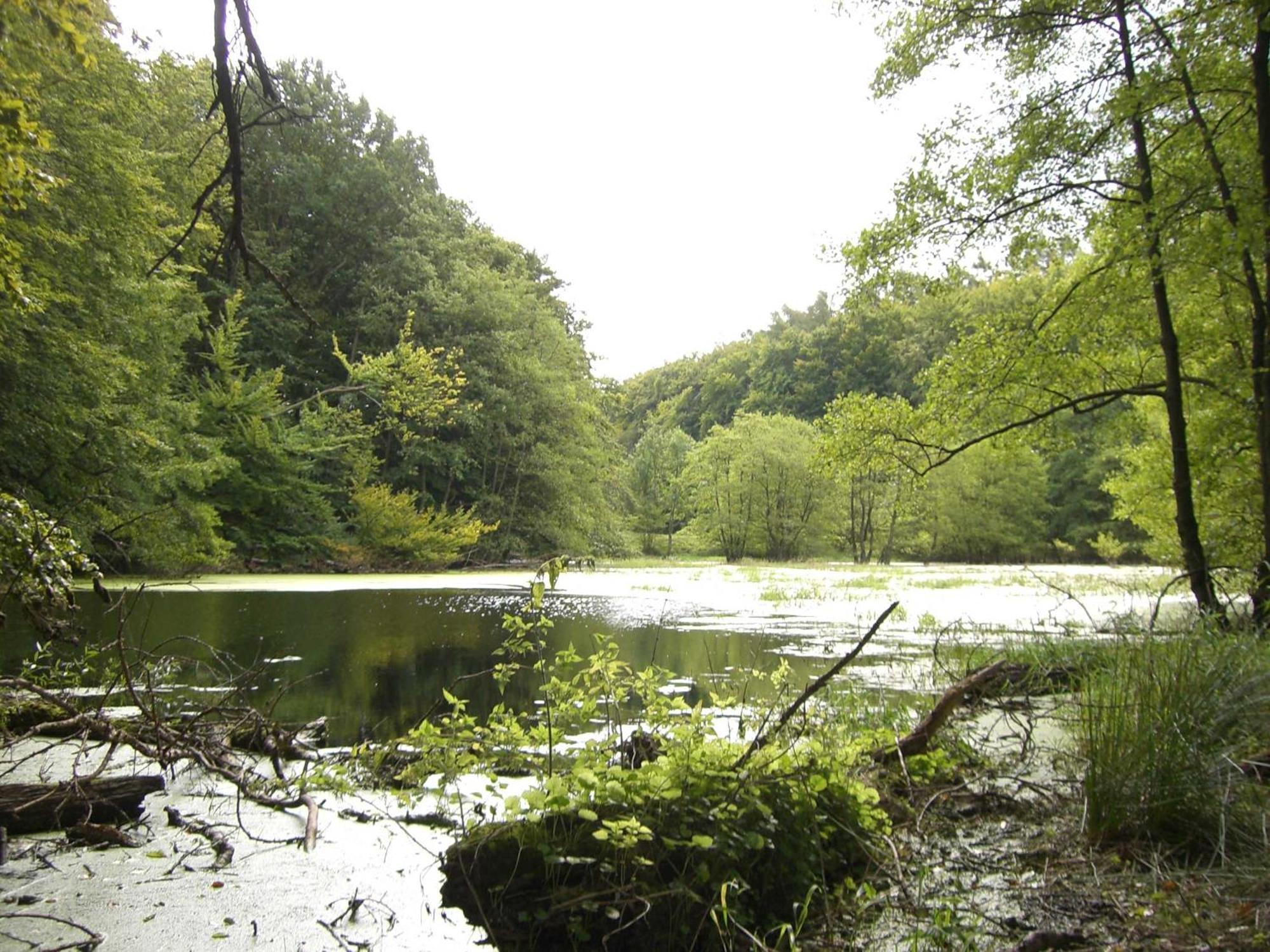 Appartementhaus Sonnenbad App 04 Sassnitz Exteriör bild